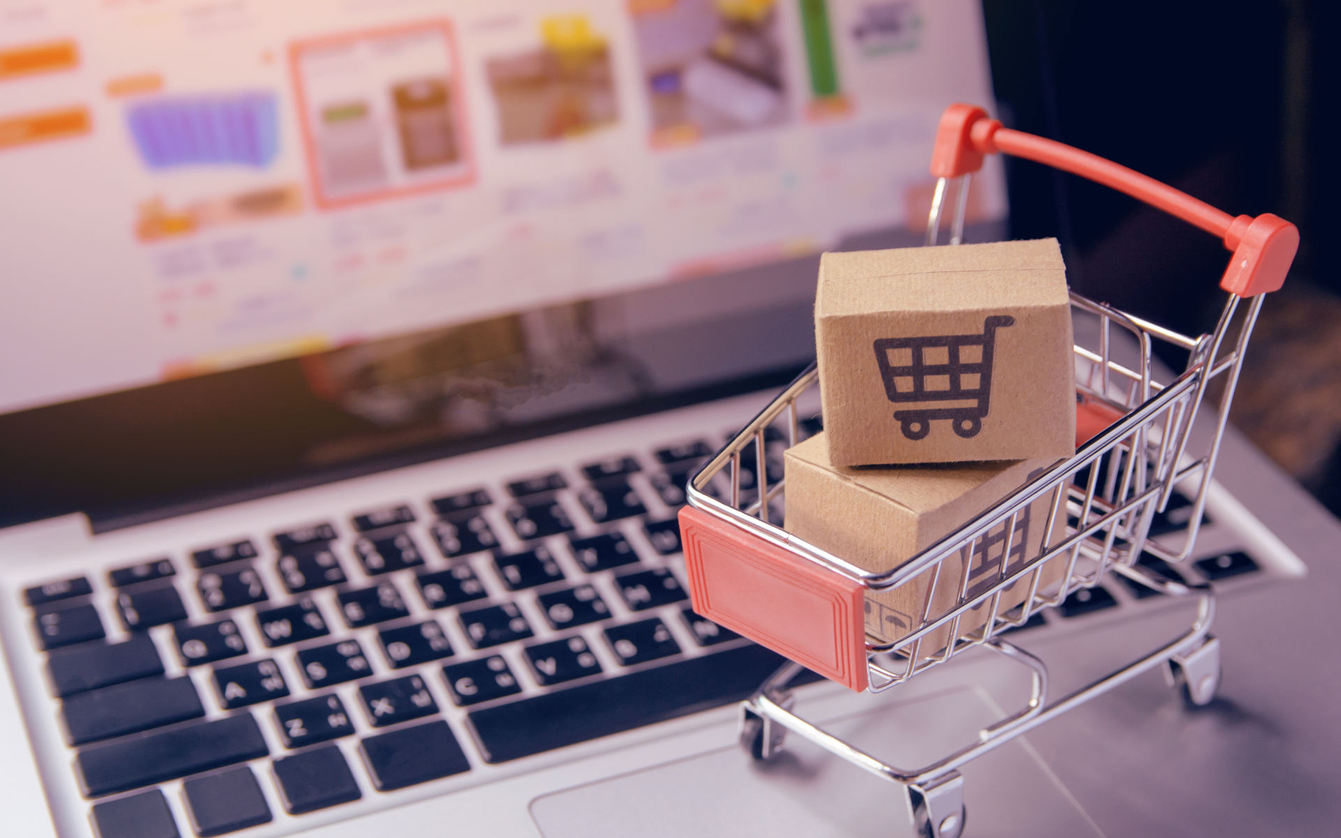 Computer Hardware and Accessories Procurement Management